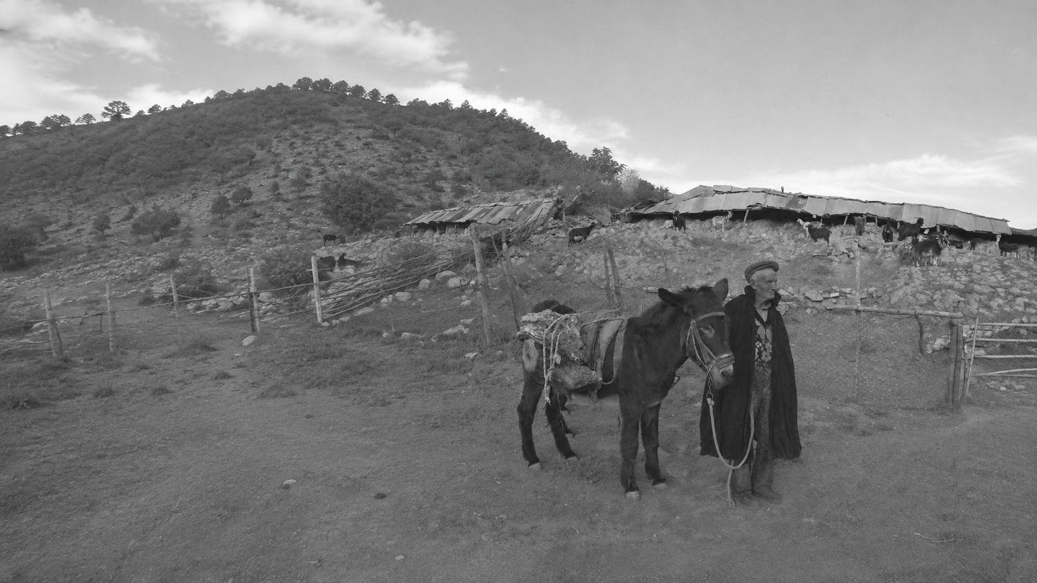 Archival photograph of a Calabrian farmer standing with his donkey beside stone farm buildings